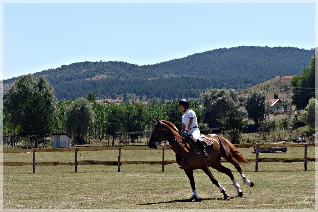 Iksir Resort Town Daday Zewnętrze zdjęcie