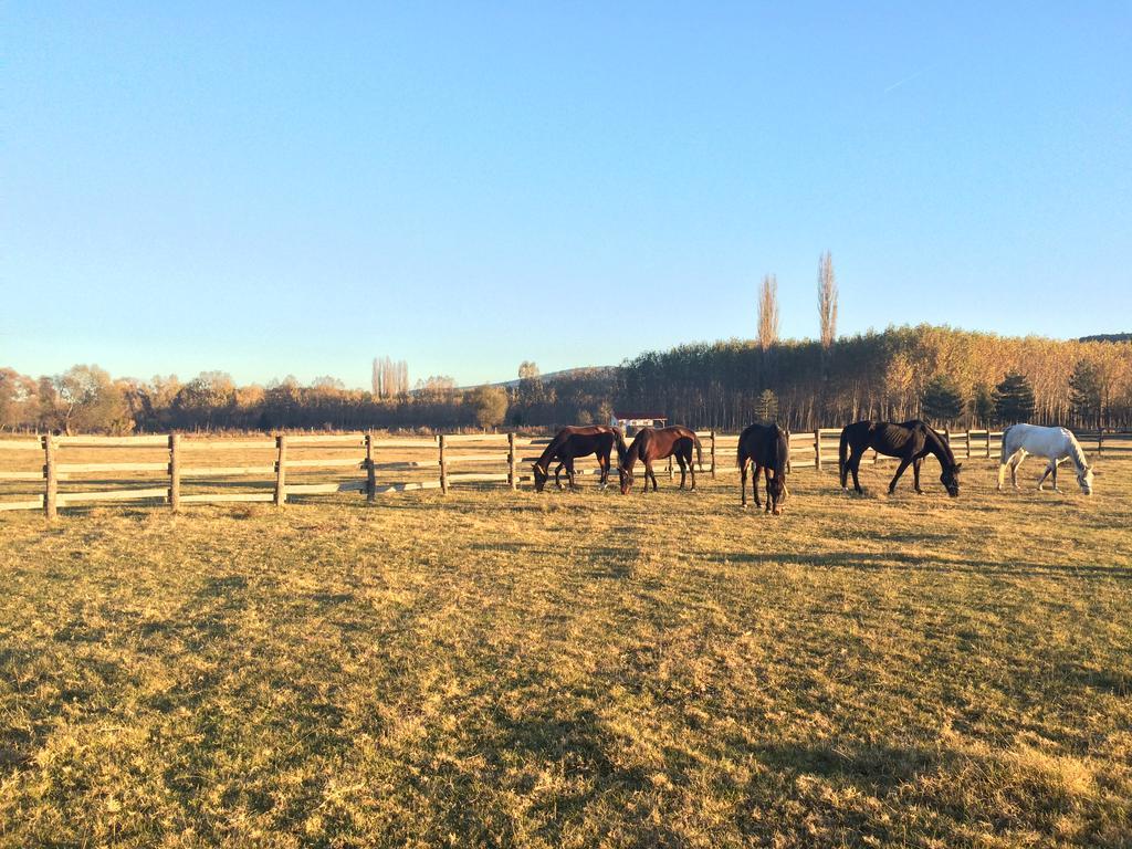 Iksir Resort Town Daday Zewnętrze zdjęcie