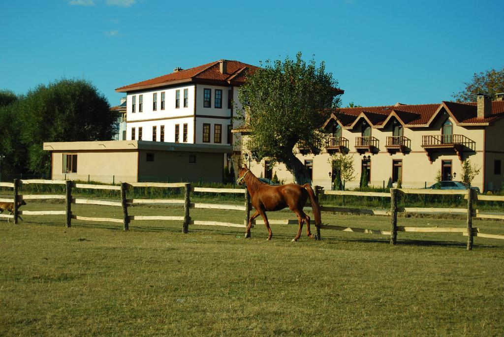 Iksir Resort Town Daday Zewnętrze zdjęcie