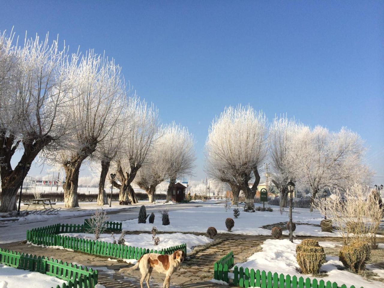 Iksir Resort Town Daday Zewnętrze zdjęcie