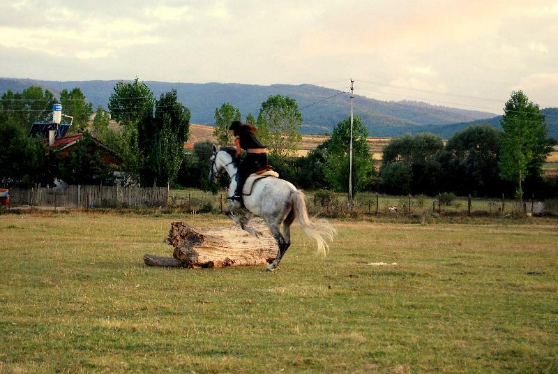 Iksir Resort Town Daday Zewnętrze zdjęcie
